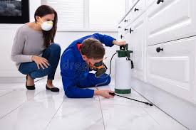 Real Estate Pest Inspections in New York Mills, MN